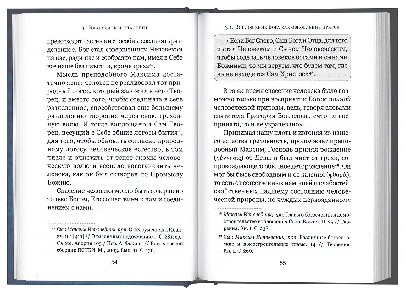 Промысл Бога и свобода человека по творениям святого Максима Исповедника (Срет.) (уценка)