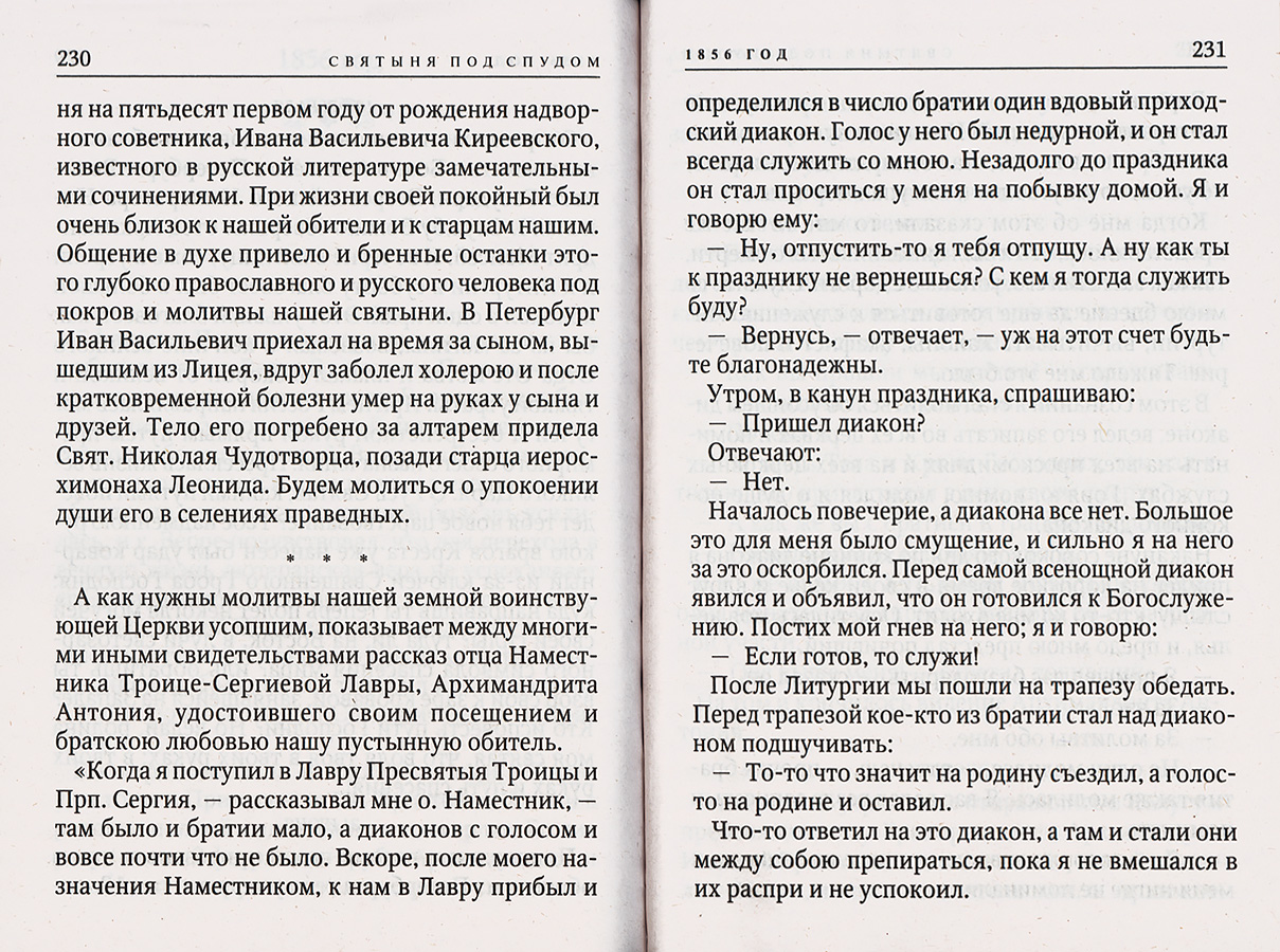 Святыня под спудом (Оранта) (уценка)