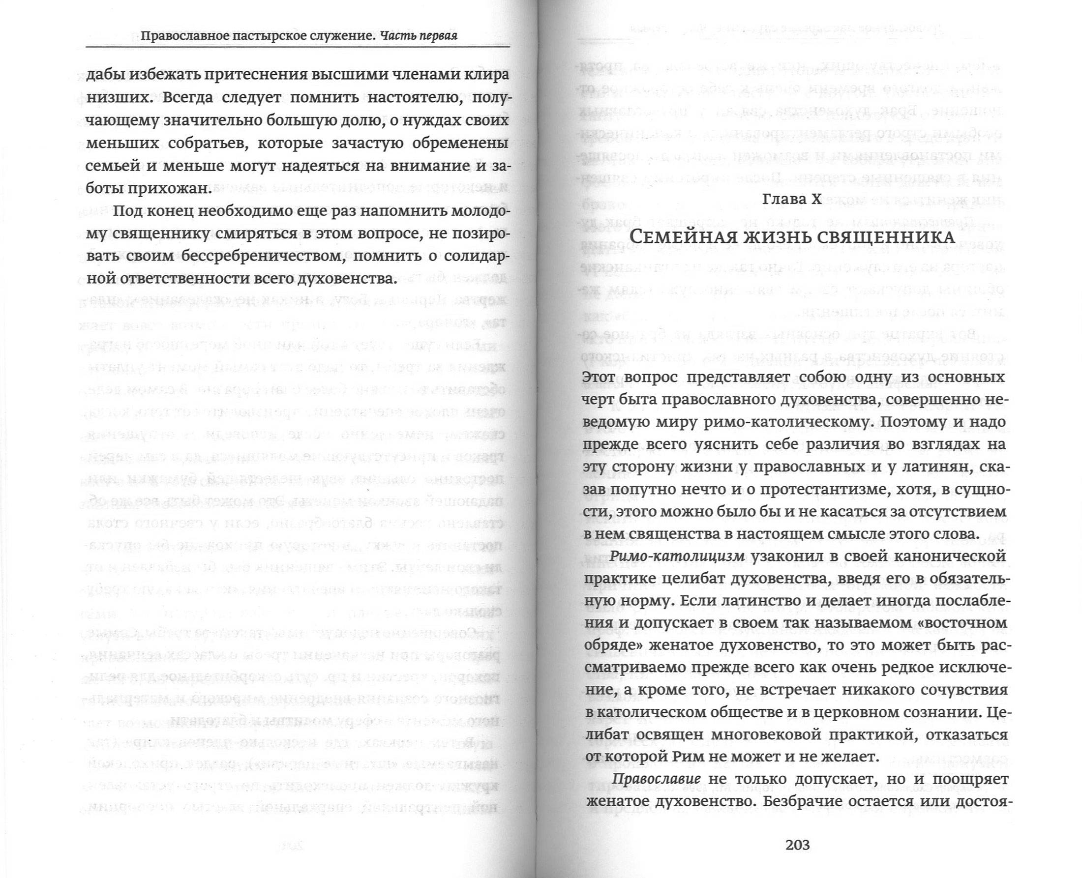Православное пастырское служение (ПСТГУ) (уценка)