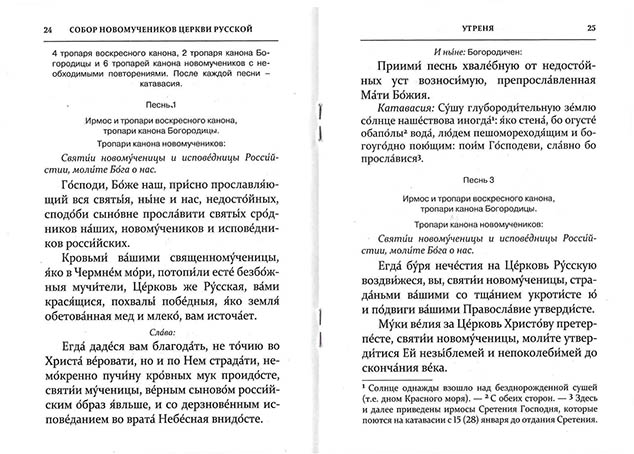 Собор новомучеников и исповедников Церкви Русской (ПСТГУ) (уценка)