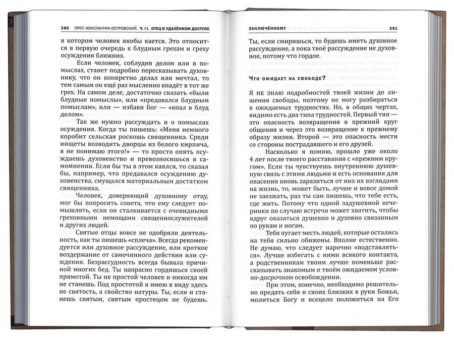 Красные врата. Советы пастыря. Избранные письма (уценка)