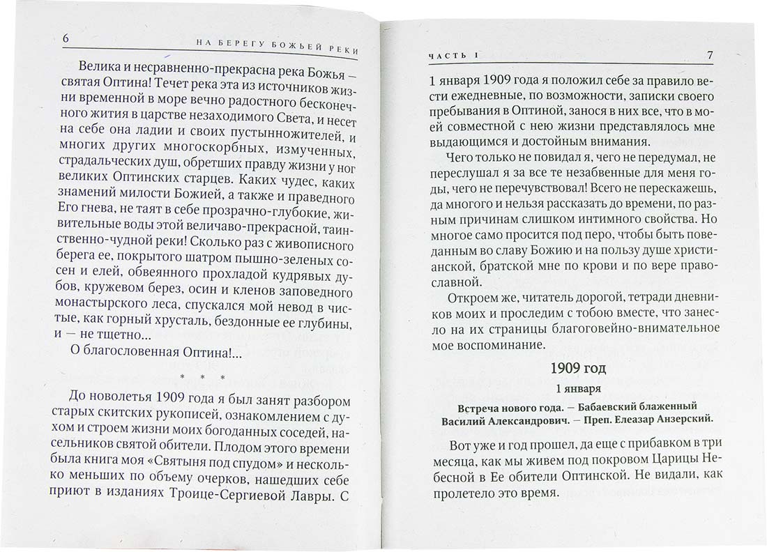 На берегу Божьей реки (Оранта) (уценка)