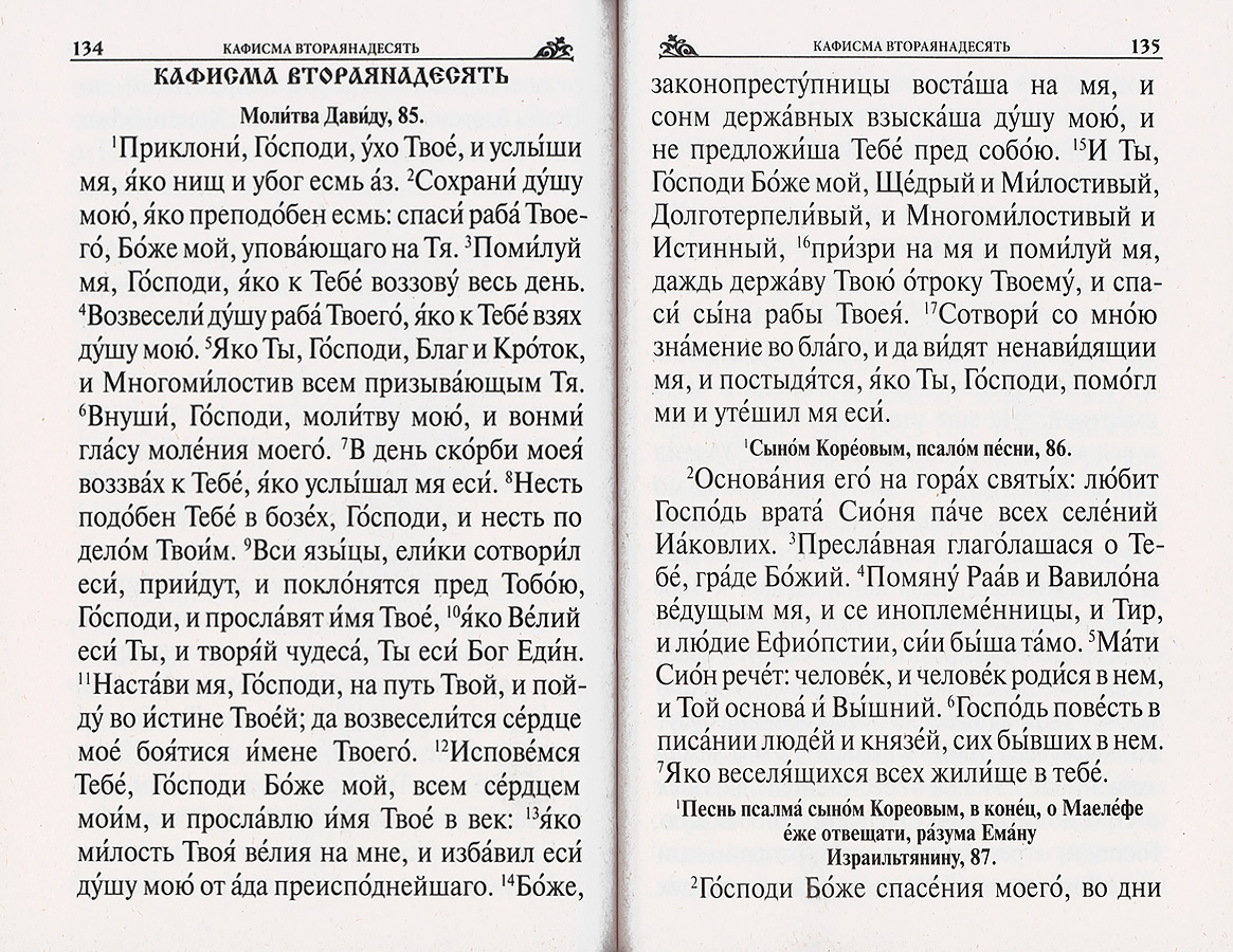 Пс (РП) крупный шрифт (уценка)