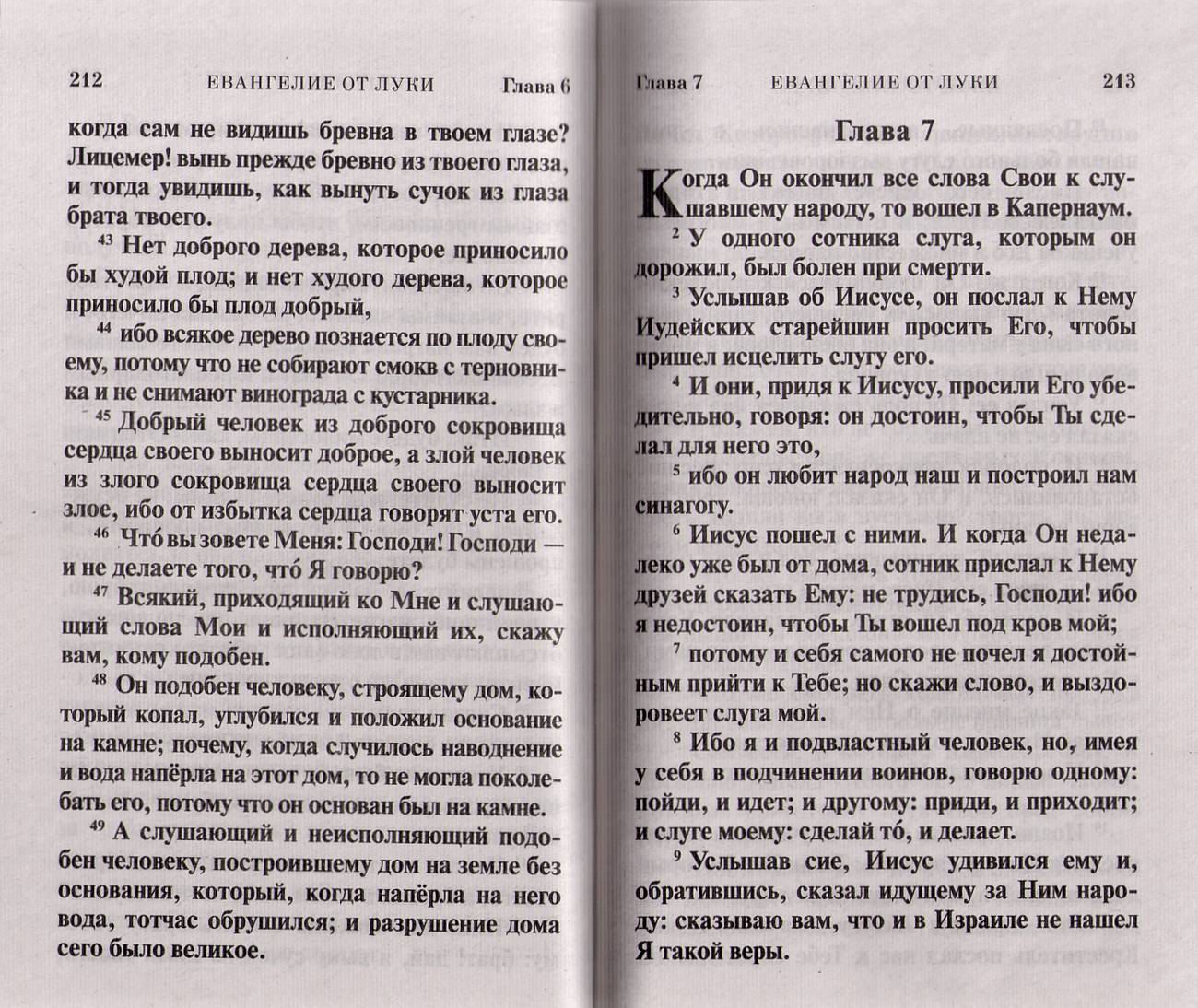 Ев (Сиб. Благ) на р/яз, мягк.п. (газ) (уценка)