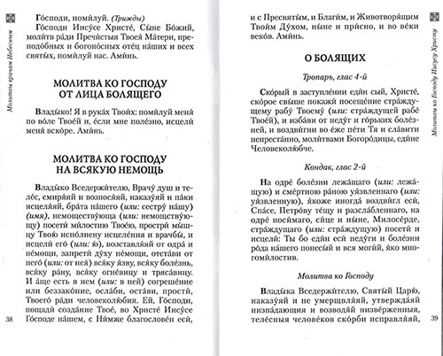 Молитвы врачам Небесным. Как молиться болящим и о болящих. (ОД) (уценка)