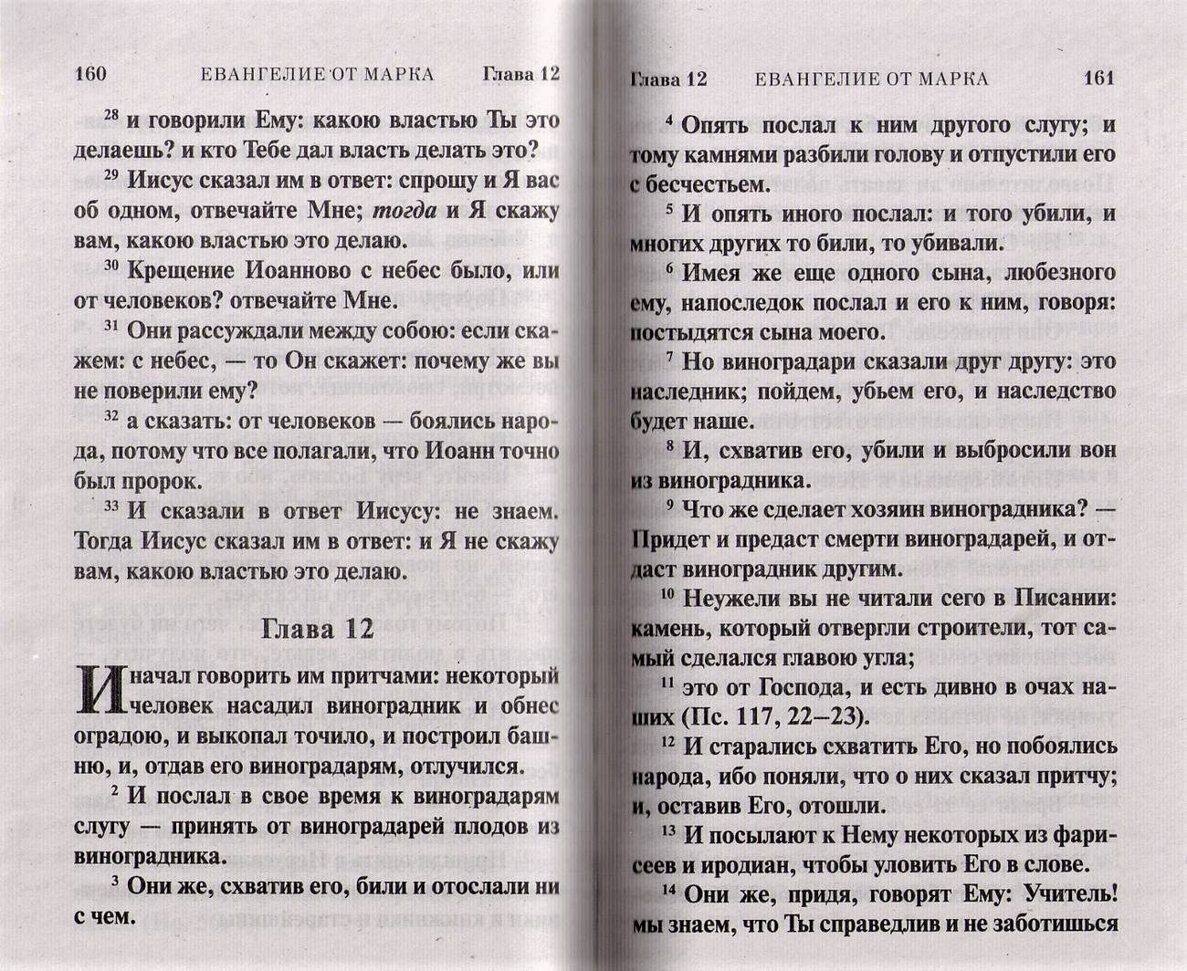 Ев (Сиб. Благ) на р/яз, мягк.п. (газ) (уценка)