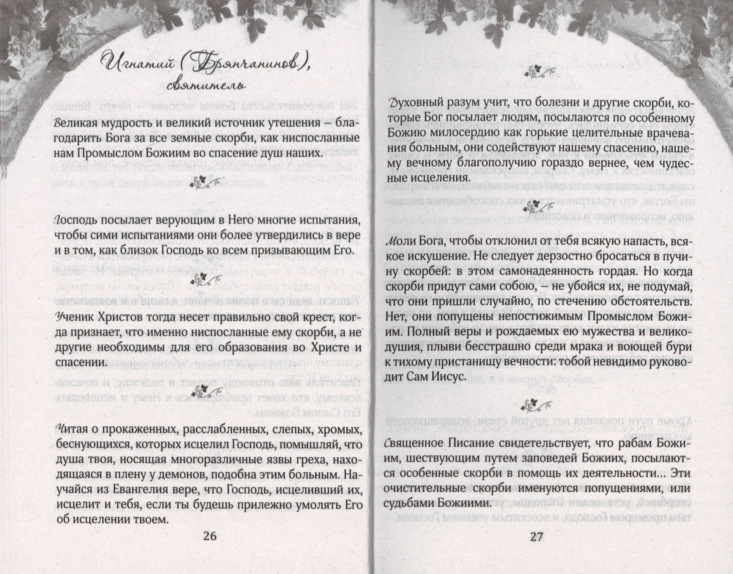 Терпением внидем в Рай (СДМ) (уценка)