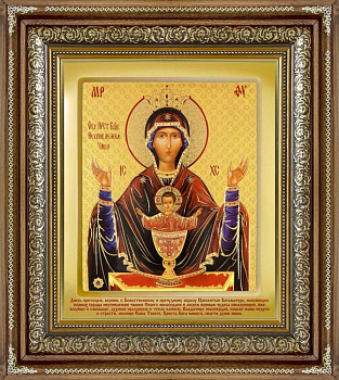 Икона в киоте "Стикер" ковчег большой, НЕУПИВАЕМАЯ ЧАША БМ, 185 х 230 