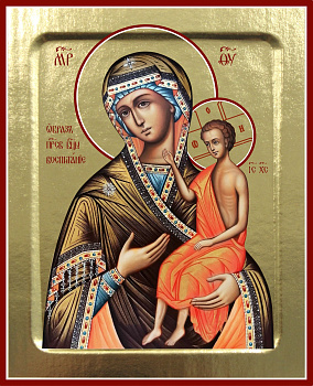 Икона Пресвятой Богородицы Воспитание 